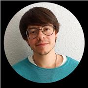 Profesor de idiomas, inglés y español